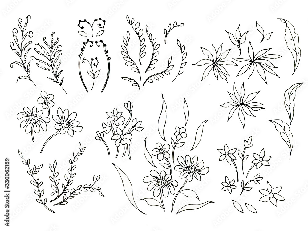 Black Hand Drawn Herbs, Plants and Flowers, Branches, Florals. Illustration for coloring book scrapbook flowers drawing and sketch with line-art on white