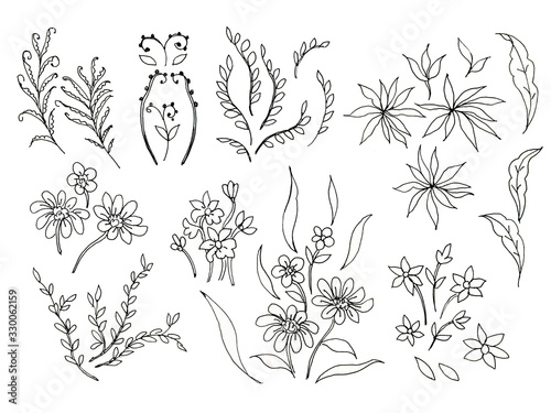 Black Hand Drawn Herbs  Plants and Flowers  Branches  Florals. Illustration for coloring book scrapbook flowers drawing and sketch with line-art on white