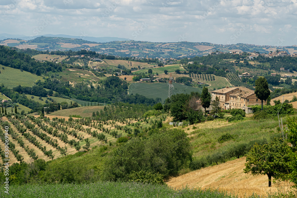 Rural landscape near Monterubbiano, Marches, Italy