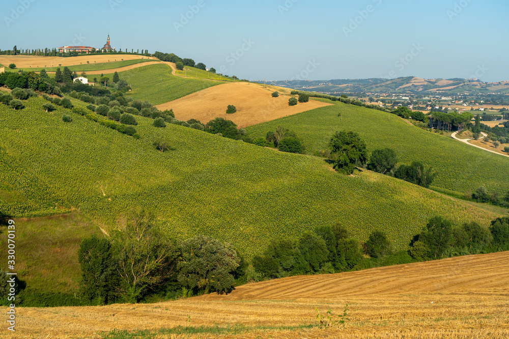 Rural landscape near Macerata, Marches, Italy