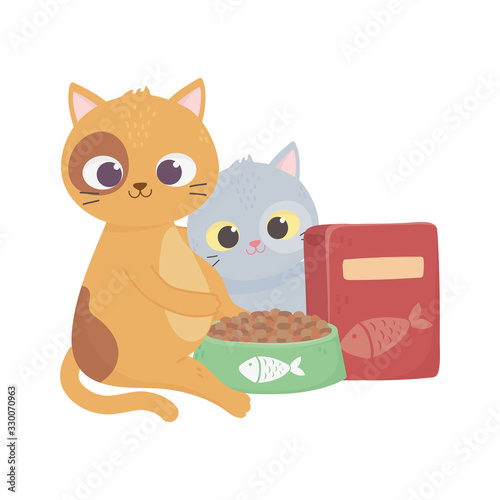 cats make me happy, cute kittens with bowl and box food pets