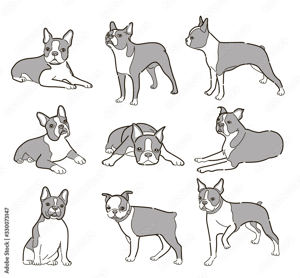 Vector dogs in different poses Vector dogs in different poses