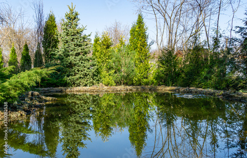 Magical garden pond. Spruce, tui and other evergreens on shore are reflected in water surface. Atmosphere of relaxation, tranquility and happiness in spring garden. Nature concept for spring design.