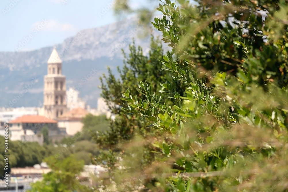 Lush trees and Saint Domnius bell tower, landmark in Split, Croatia, in the background. Selective focus.
