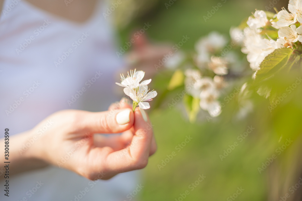 A tender girl walks in a flowering garden. Nature beauty
