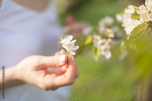 A tender girl walks in a flowering garden. Nature beauty