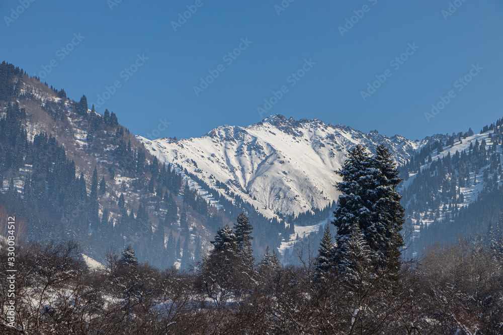snowy mountains with green christmas trees