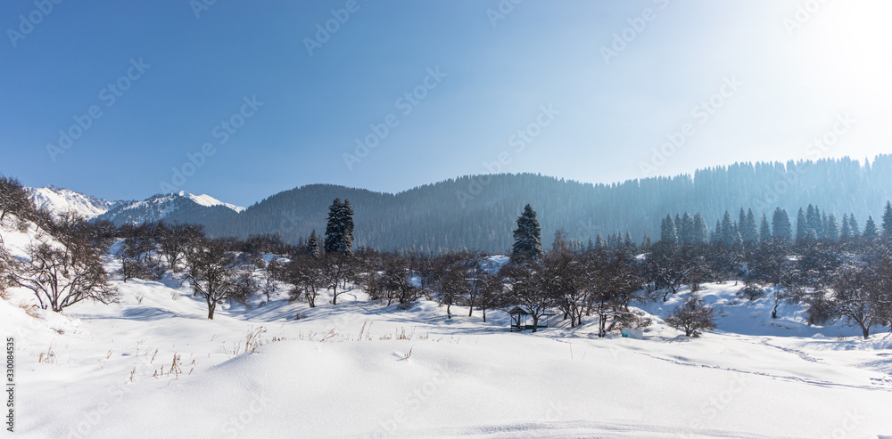 panorama of snowy mountains and trees panorama of snowy mountains and trees