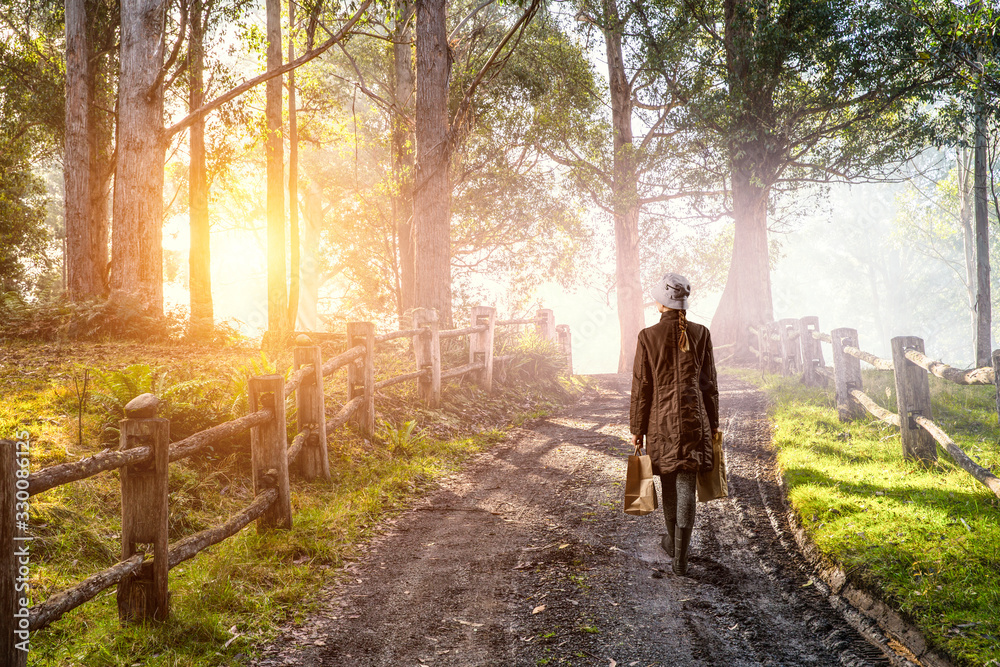 Fototapeta premium Housewife walking with shopping bags