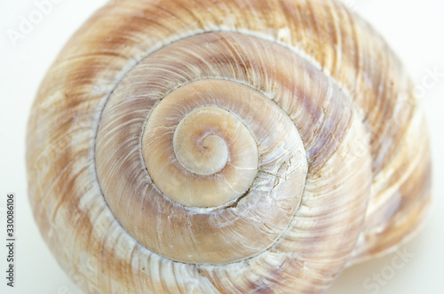 Snail house shell