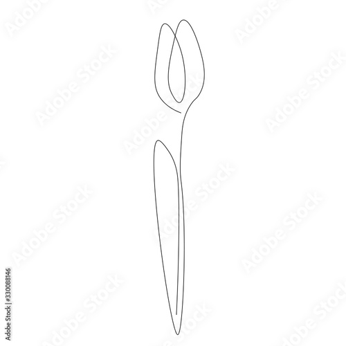 Flower tulip silhouette vector illustration © Keya