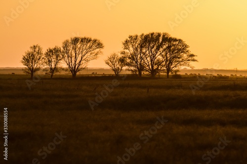 Pampas sunset landscape, La pampa, Argentina
