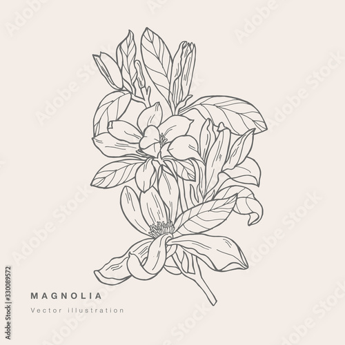 Hand draw vector magnolia flowers illustration. Floral wreath. Botanical floral card on white background.