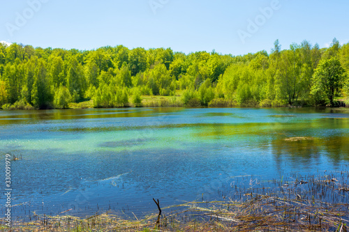 landscape by the mountain lake among coniferous forest. wonderful nature scenery in springtime at high noon.