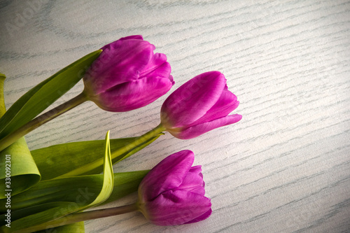 Fototapeta Naklejka Na Ścianę i Meble -  Pink tulips lie on the table.