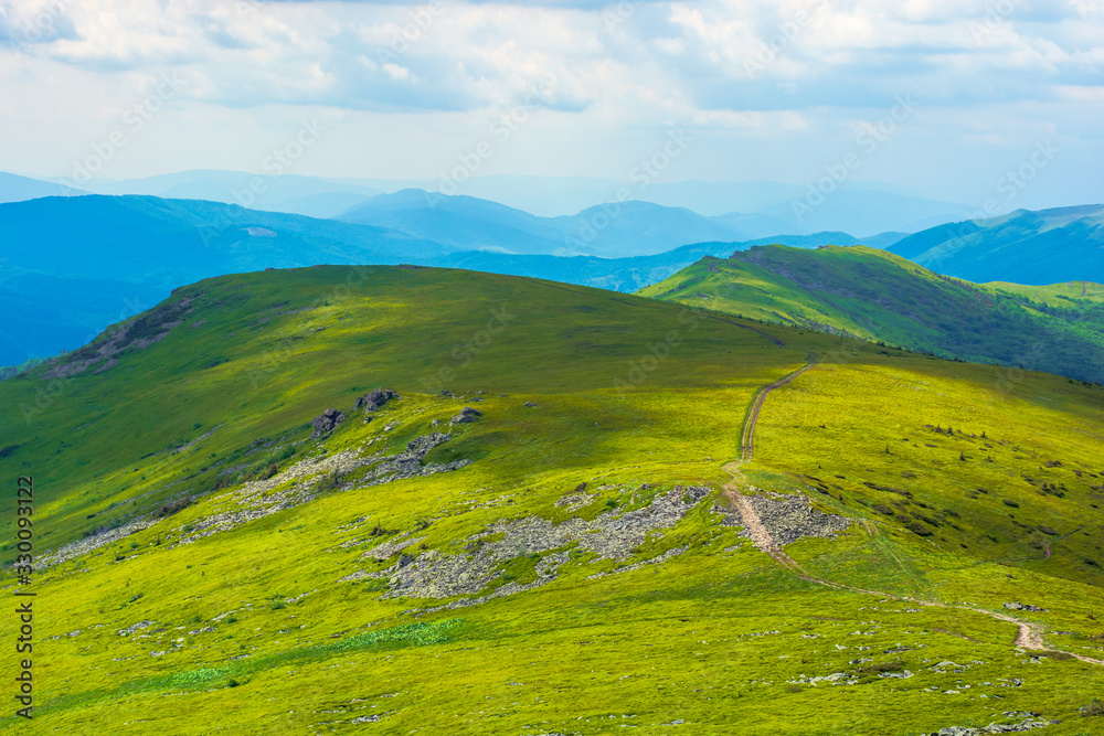 Obraz premium path through mountain range. beautiful alpine meadows of carpathian landscape on a cloudy day in summer. dividing watershed ridge