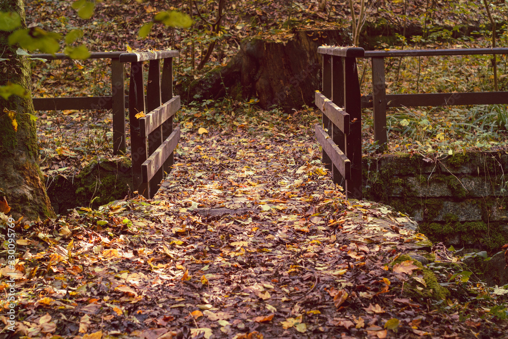 Small wooden bridge with guard rails covered in coloured autumn foliage leaves in the woods around Zurich city Switzerland Hoengg