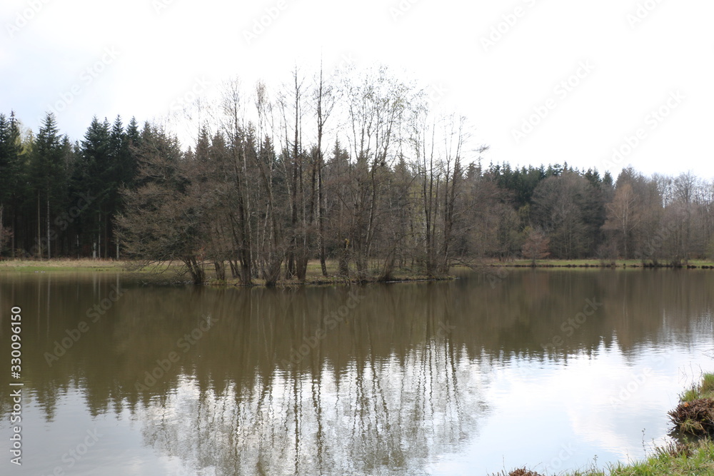 nature nature