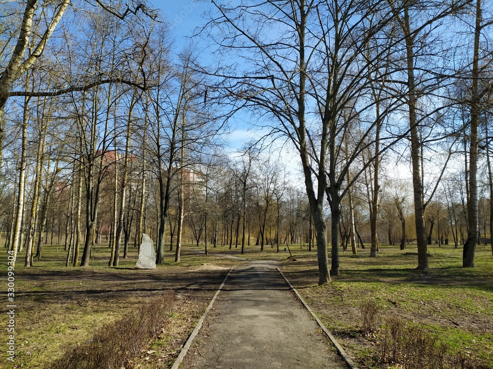 City park in spring on a sunny day. Mobile photo
