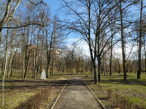 City park in spring on a sunny day. Mobile photo © Natalia