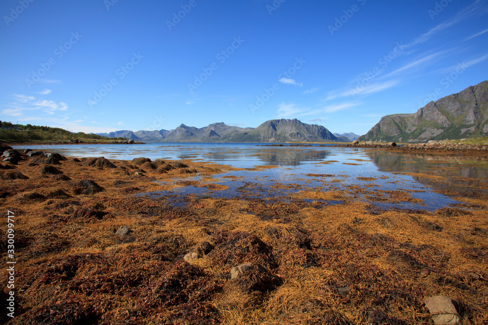 Obraz premium Lofoten Islands / Norway - August 30, 2017: Lofoten landscape, Lofoten Islands, Nordland, Norway, Scandinavia, Europe