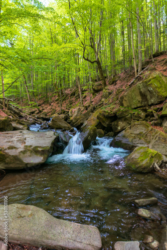 water stream in the beech forest. beautiful nature scenery in spring  trees in fresh green foliage. mossy rocks and boulders on the shore. warm sunny weather