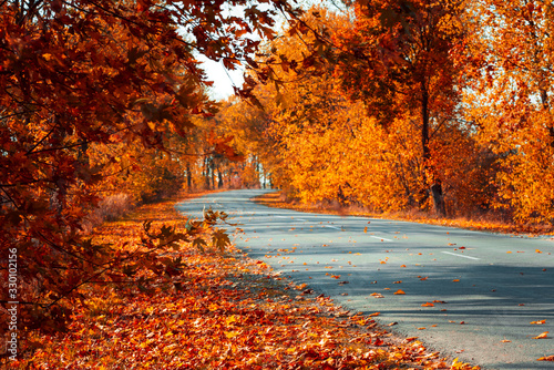 Empty asphalt road in autumn fall forest. Autumnal background... Selective focus
