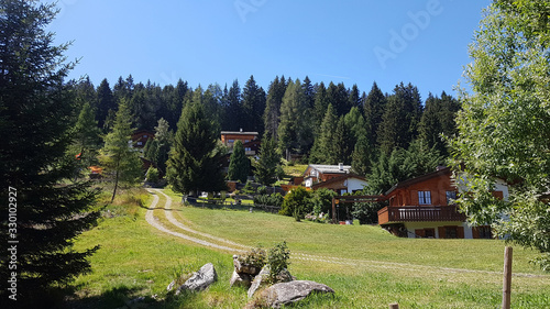 Mountain village and a forest in the Swiss Alps in summer