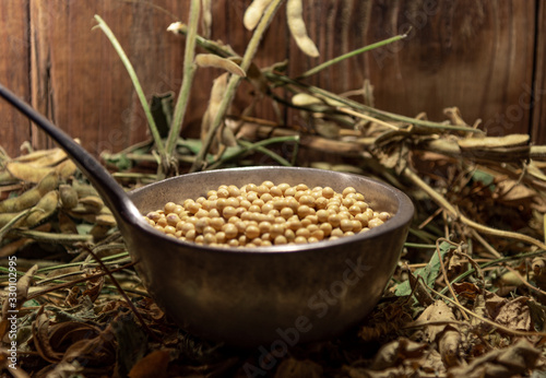Soy beans in a metal shell on an organic background