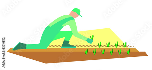 The gardener plants seedlings in the ground
