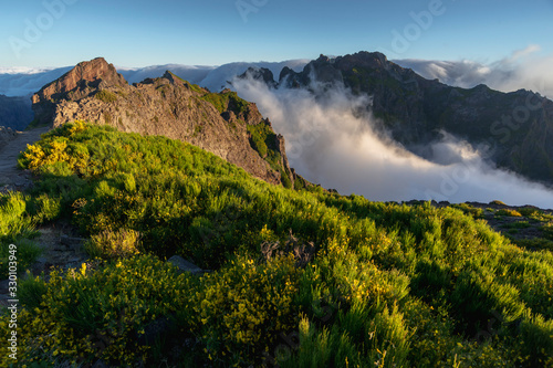 top of Madeira Island