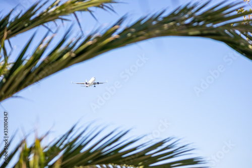 Airplane and palm branches