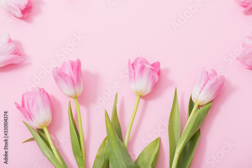 beautiful pink tulips on pink background © Siarhei