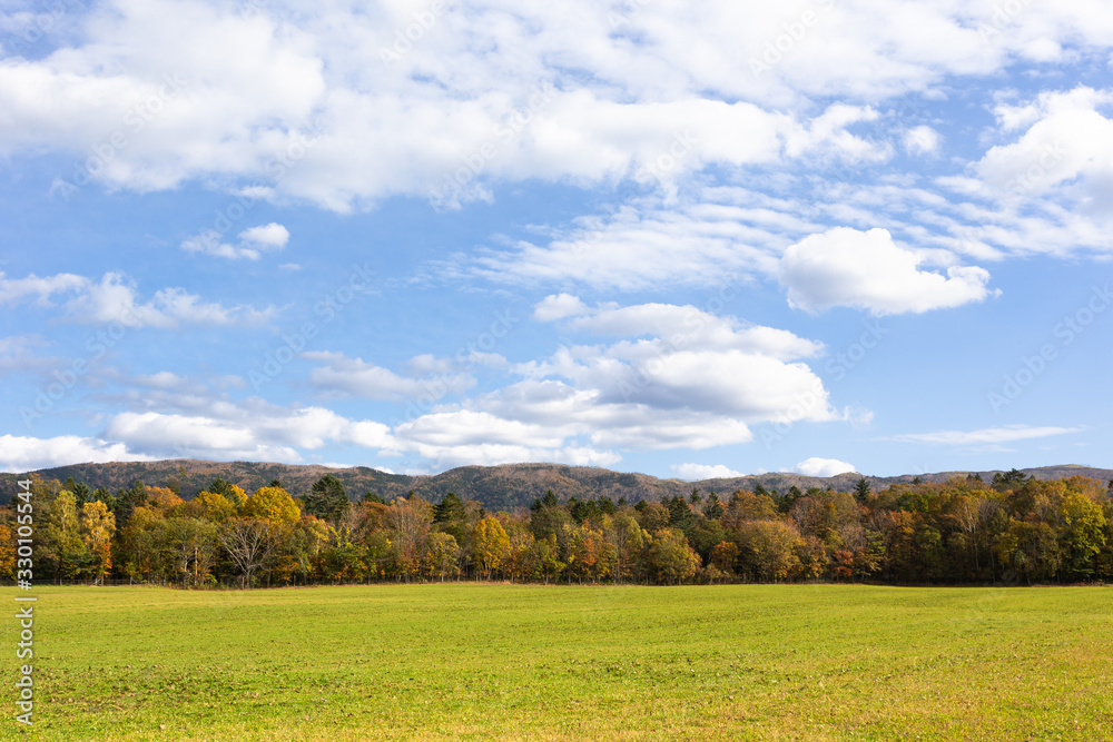 Fototapeta premium 日本・北海道東部の国立公園、弟子屈町の草原