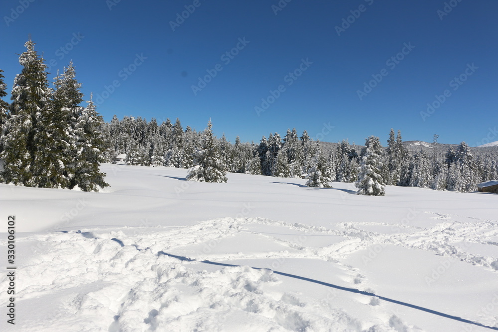 landscape with trees and mountains in winter landscape with trees and mountains in winter