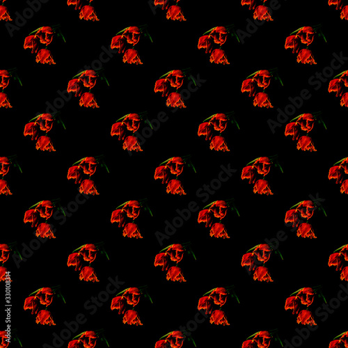 Tulips seamless pattern on black background with lush lava tinting. Photografic collage photo