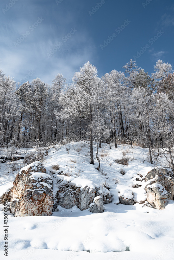 Winter landscape with snow covered trees, Lake Baikal, Siberia, Russia Winter landscape with snow covered trees, Lake Baikal, Siberia, Russia