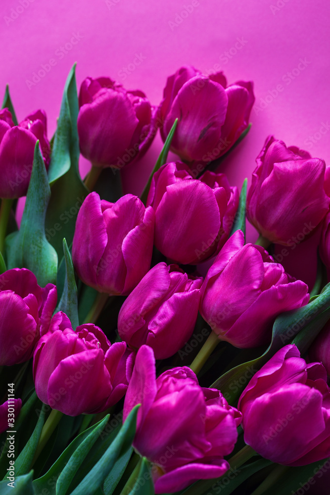 lovely pink tulips lovely pink tulips