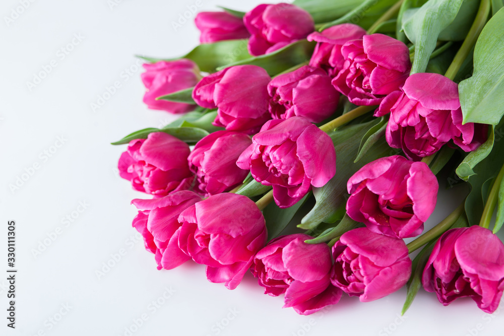 lovely pink tulips