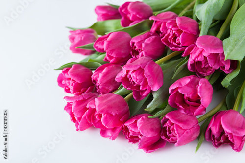 lovely pink tulips
