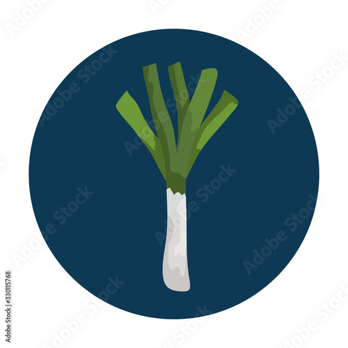fresh leek vegetable in frame circular vector illustration design