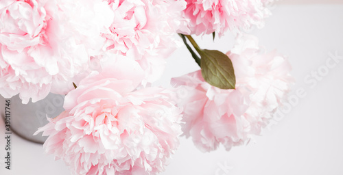 Fototapeta Naklejka Na Ścianę i Meble -  Romantic banner, delicate white peonies flowers close-up. Fragrant pink petals