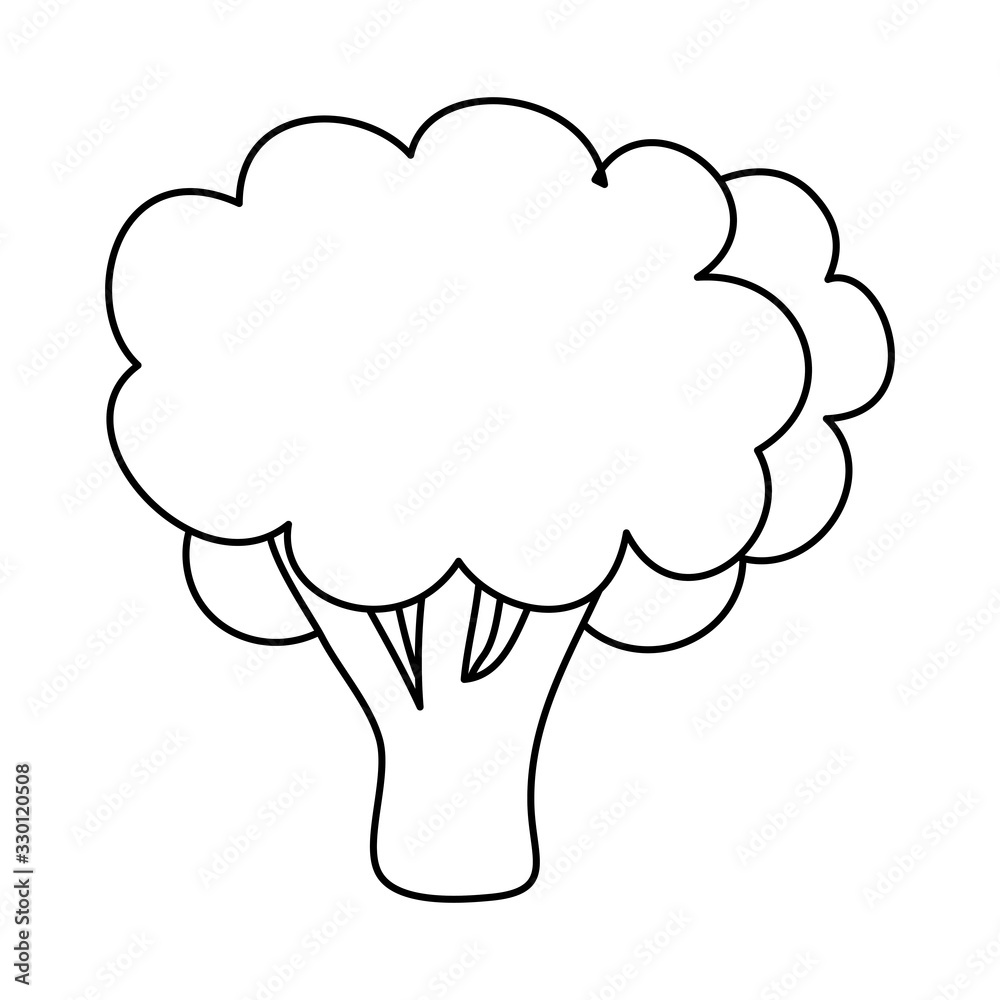 fresh broccoli vegetable isolated icon vector illustration design fresh broccoli vegetable isolated icon vector illustration design