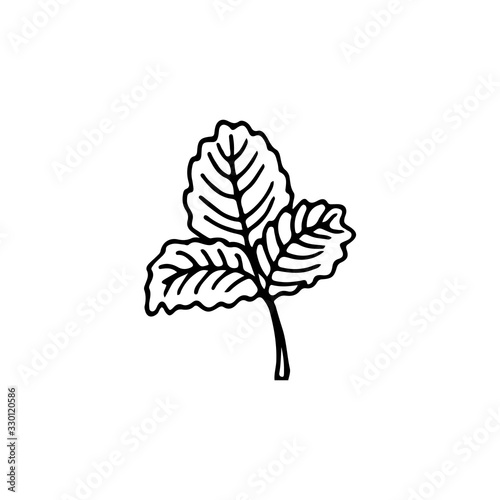 Black and white image of a strawberry leaf. Vector illustration. Hand-drawn doodle for design, web, icons.