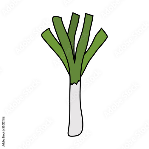 fresh leek vegetable isolated icon vector illustration design