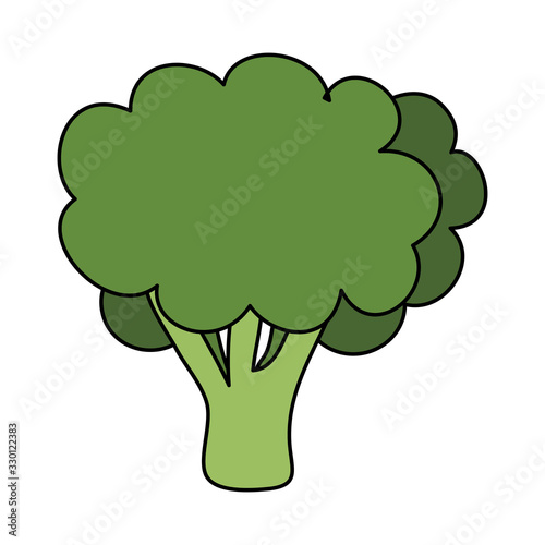 fresh broccoli vegetable isolated icon vector illustration design