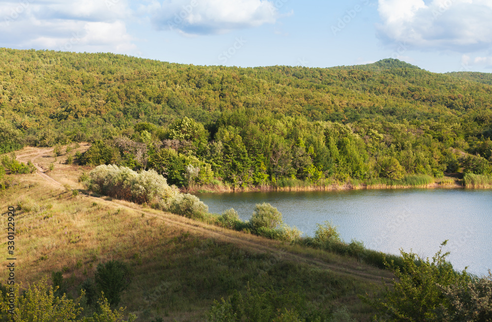 Fototapeta premium Rural summer landscape