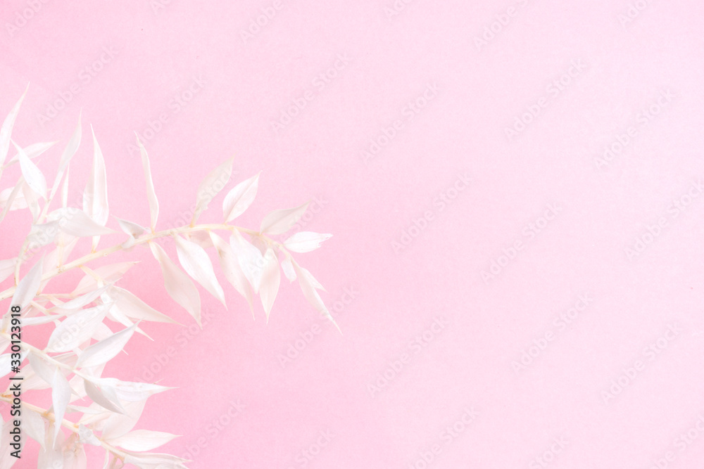 Fototapeta premium Fresh white branch on pink background