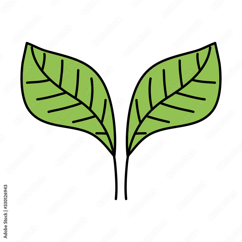 leafs nature ecology isolated icon vector illustration design leafs nature ecology isolated icon vector illustration design