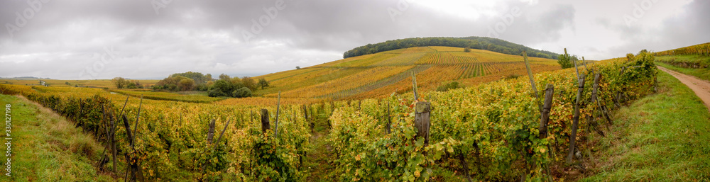 Mont de Sigolsheim depuis le vignoble en automne